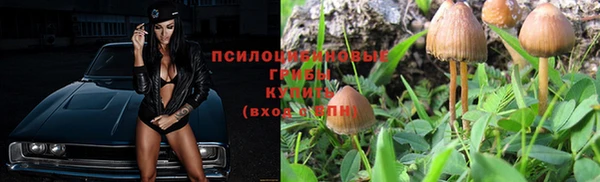 героин Алексин