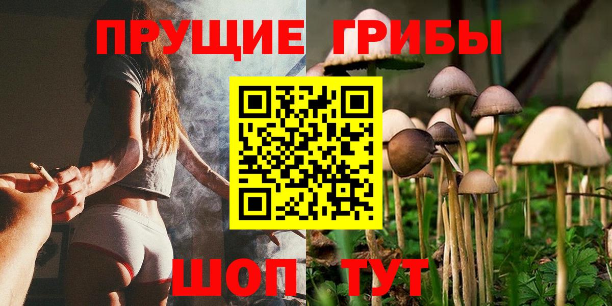 Галлюциногенные грибы Magic Shrooms Люберцы